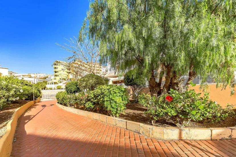 Tenerifeopenhome Costa Adeje Comfort Apartment 3 Pools Exteriör bild